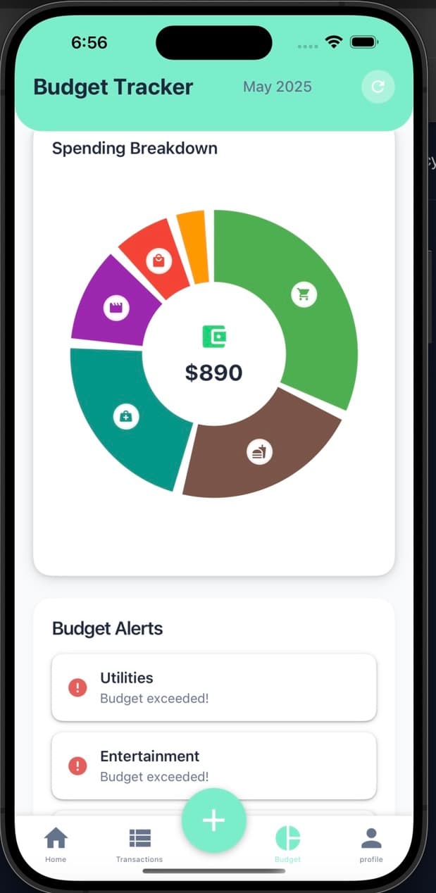Budget Overview